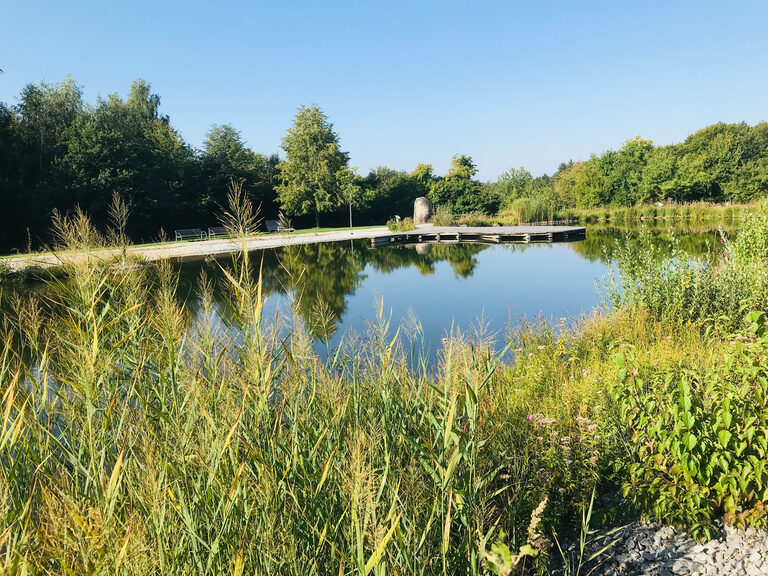 Ein stiller See mit Gräsern und Bäumen umrahmt von einer Umgebung voller Ruhe.