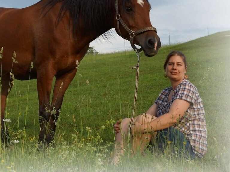 Eine Frau sitzt neben einem Pferd auf einer Wiese.