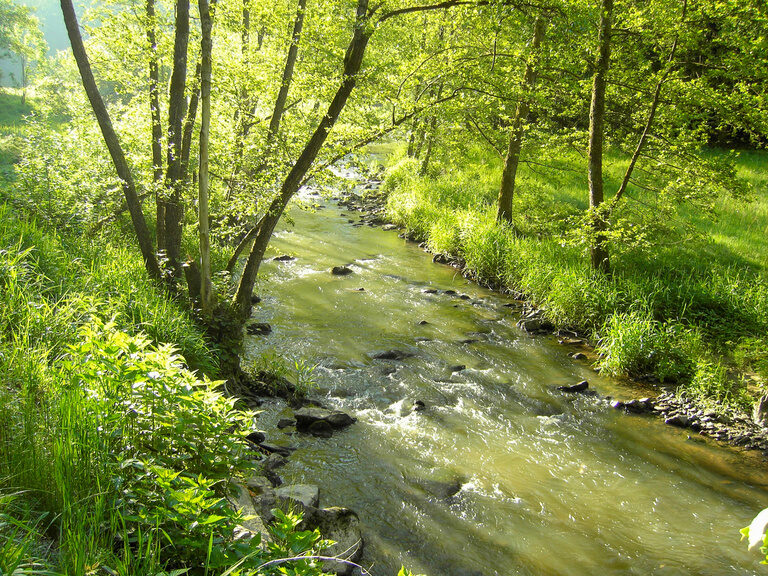 Kururlaub in Bayern