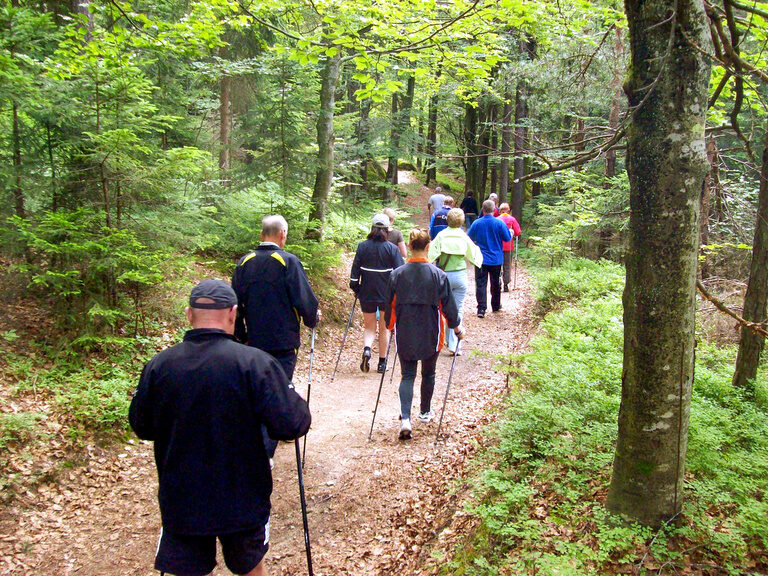 Menschen beim Outdoor-Erlebnis inmitten alter Wälder.